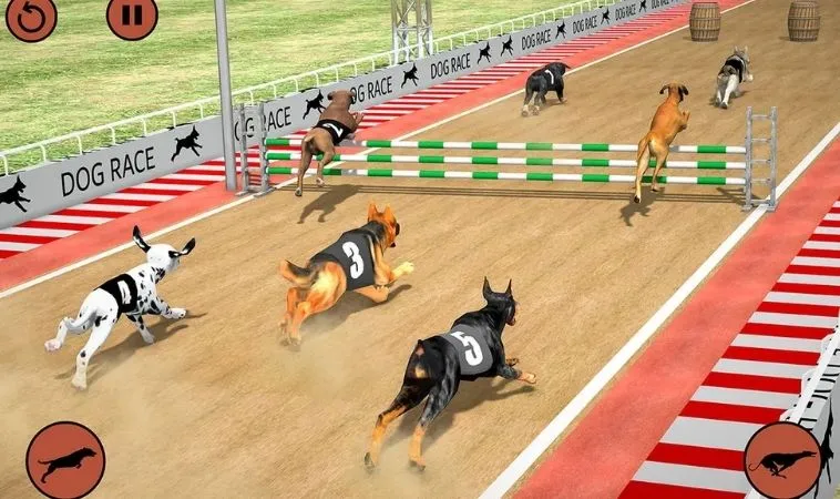 Cách chơi game nhanh Đua Chó Tại RR88